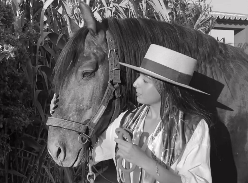 Tiempo libre, hobbie